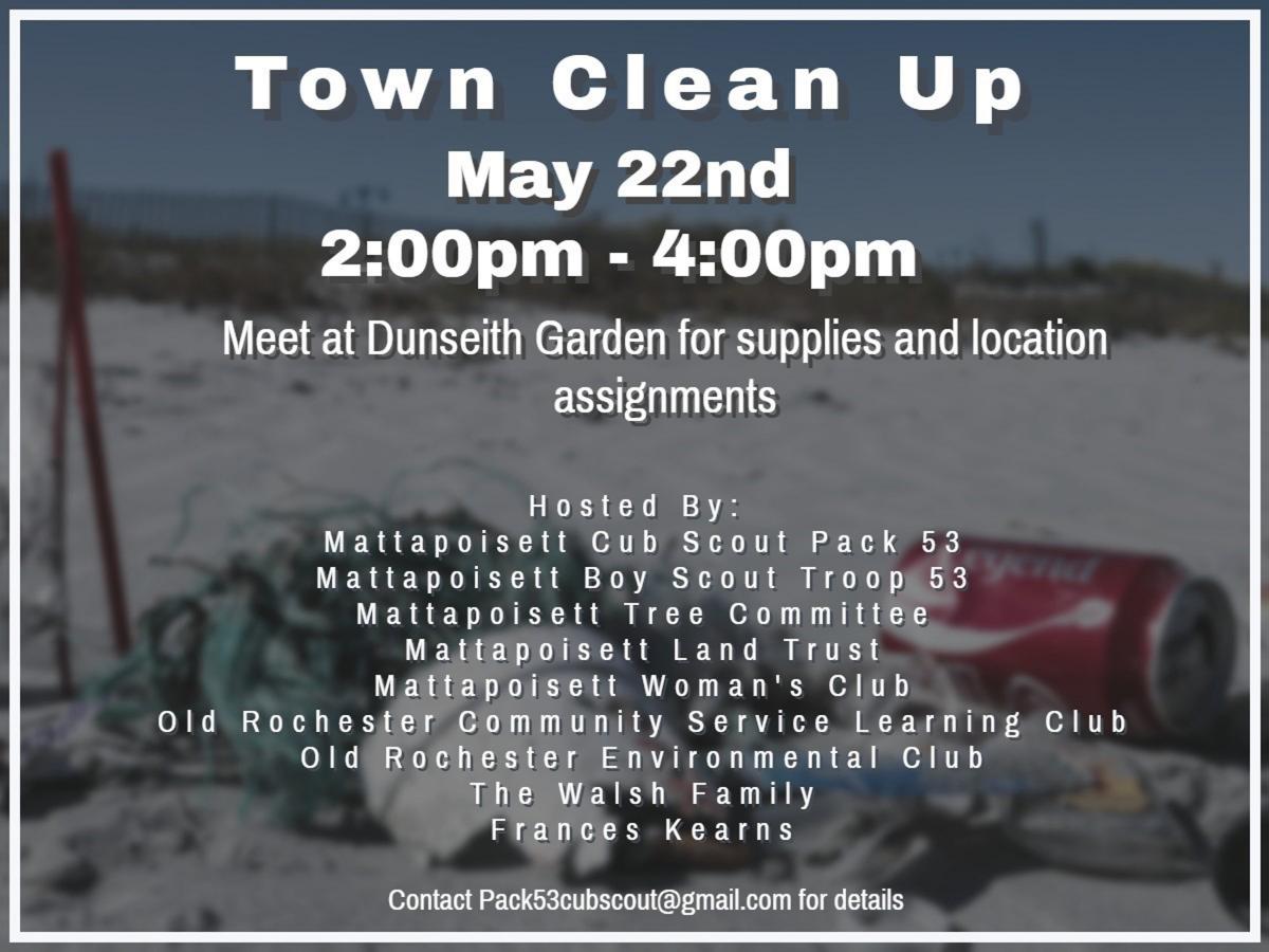 Towncleanup52221