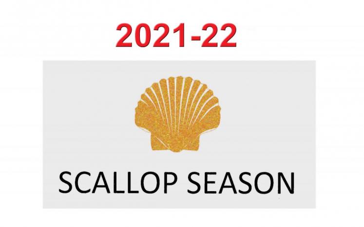 scallopseasonicon