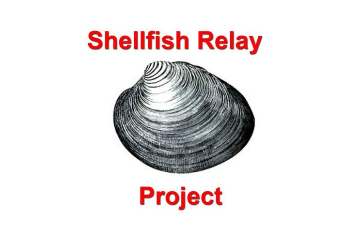 shellfishrelay